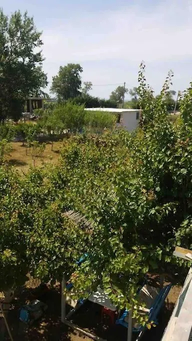 Biku'S Villa In Rrjoll Baks-Rrjoll Albania